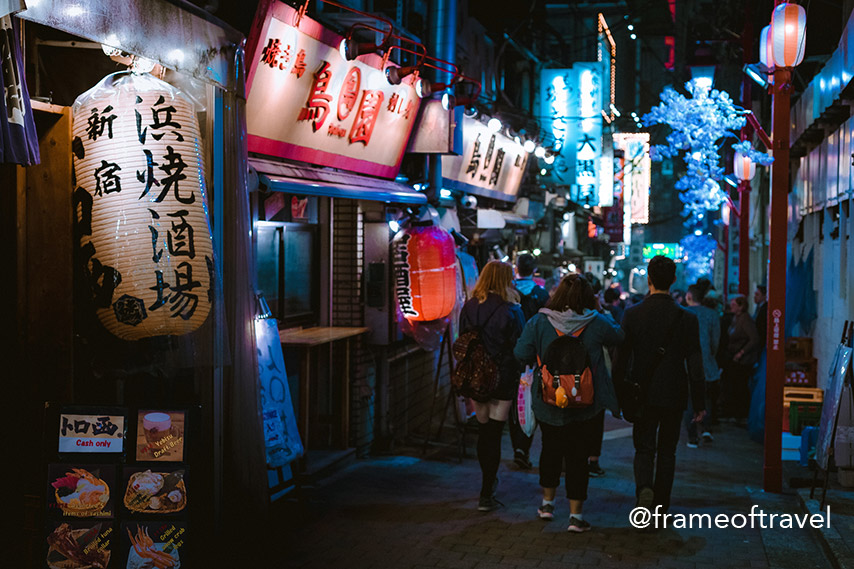 Frame of Travel - Shinjuku Streets